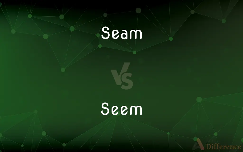Seam vs. Seem — What's the Difference?