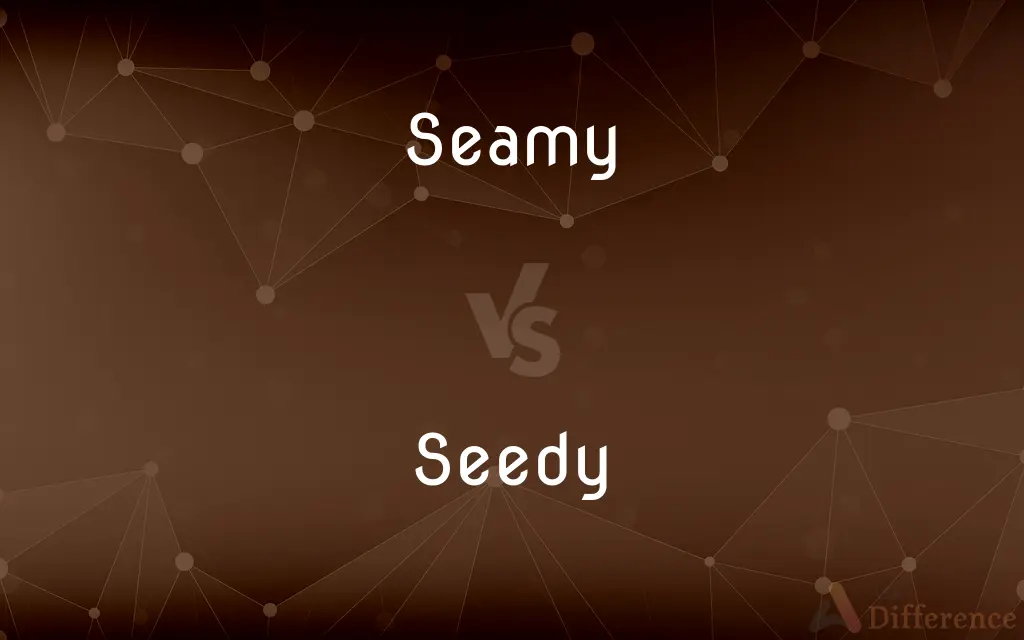 Seamy vs. Seedy — What's the Difference?