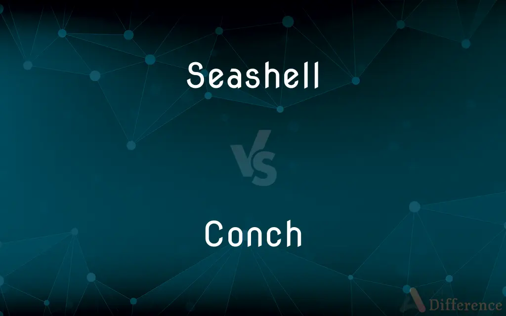 Seashell vs. Conch — What's the Difference?