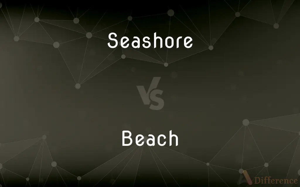 Seashore vs. Beach — What's the Difference?