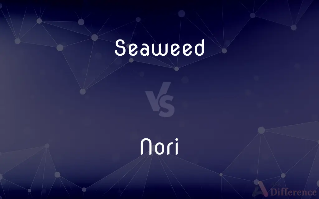 Seaweed vs. Nori — What's the Difference?