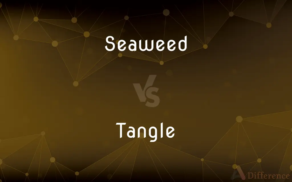 Seaweed vs. Tangle — What's the Difference?