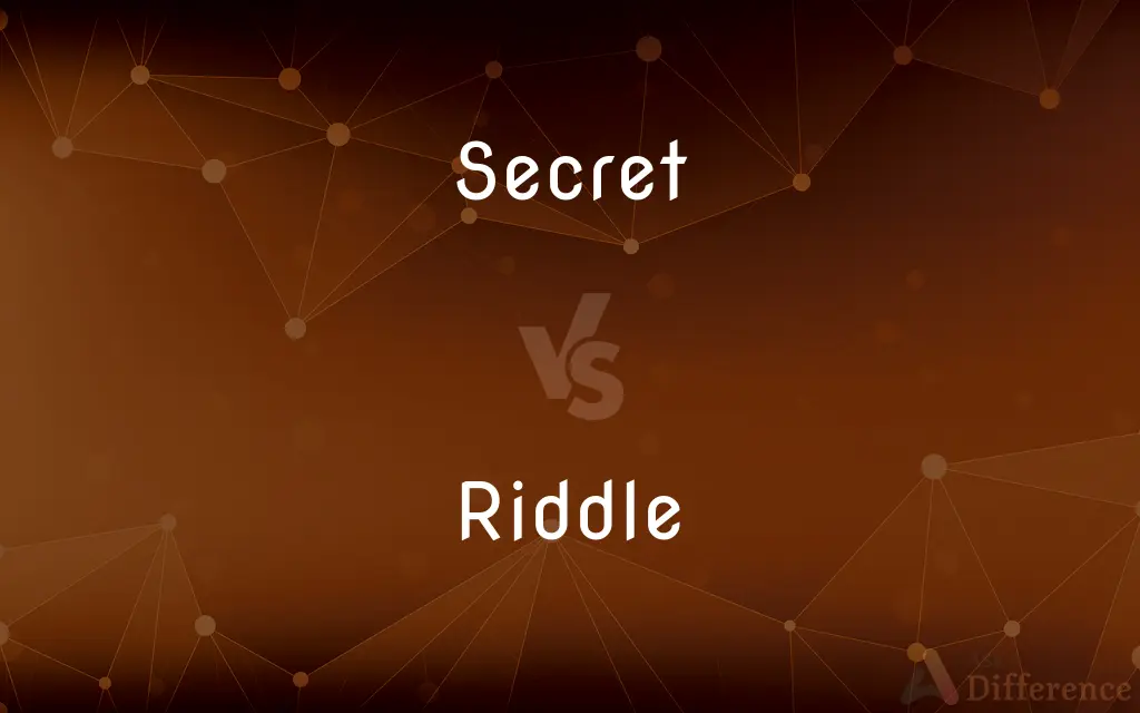 Secret vs. Riddle — What's the Difference?