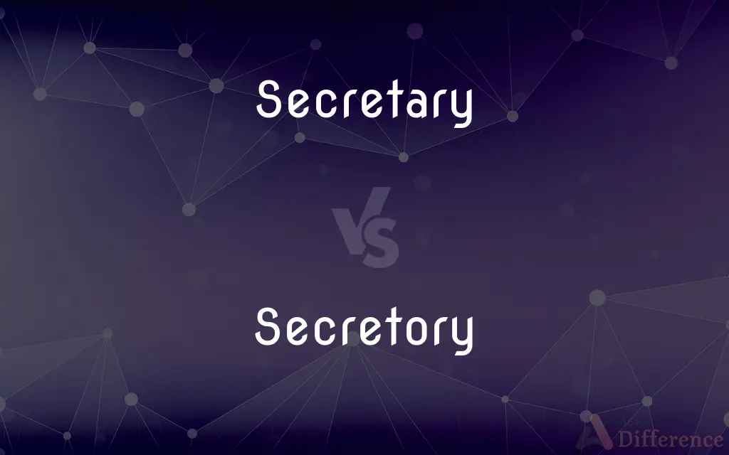 Secretary vs. Secretory — What's the Difference?