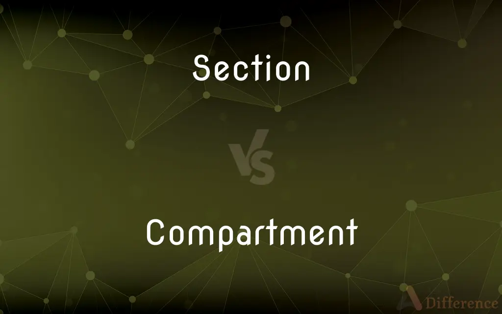 Section vs. Compartment — What's the Difference?
