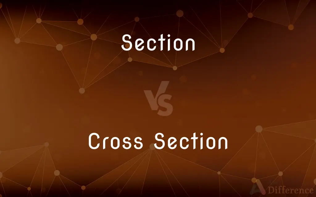 Section vs. Cross Section — What's the Difference?