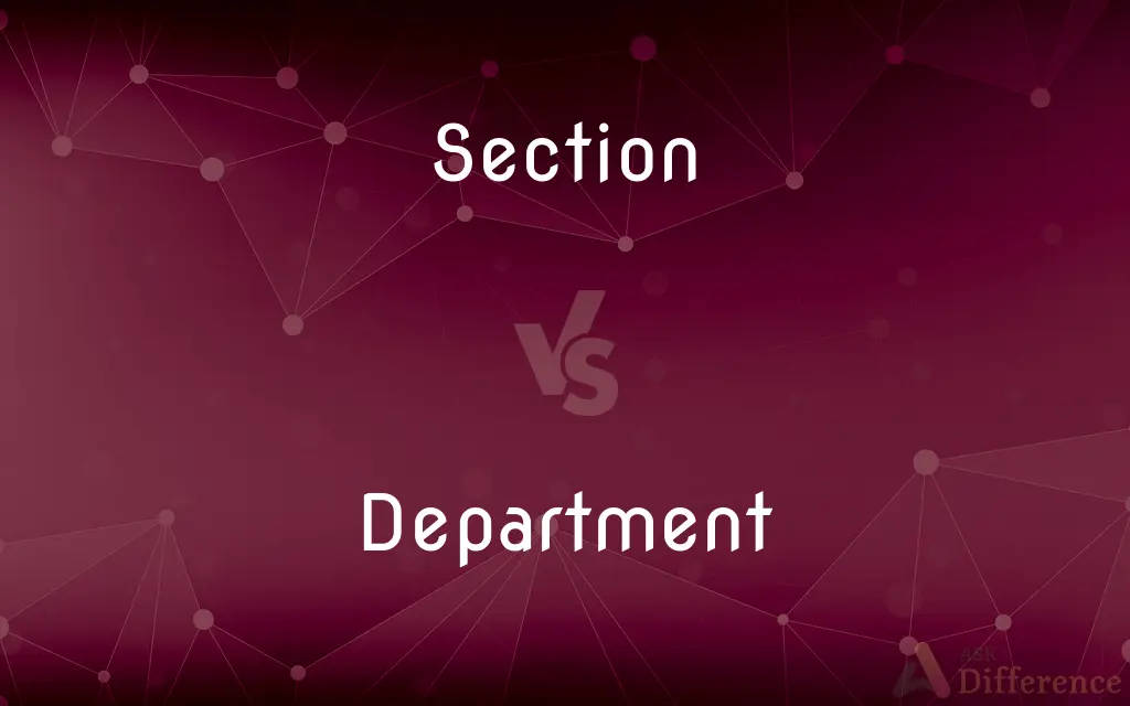 Section vs. Department — What's the Difference?