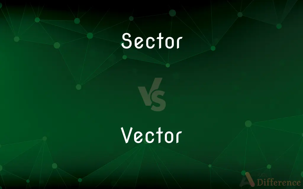 Sector vs. Vector — What's the Difference?
