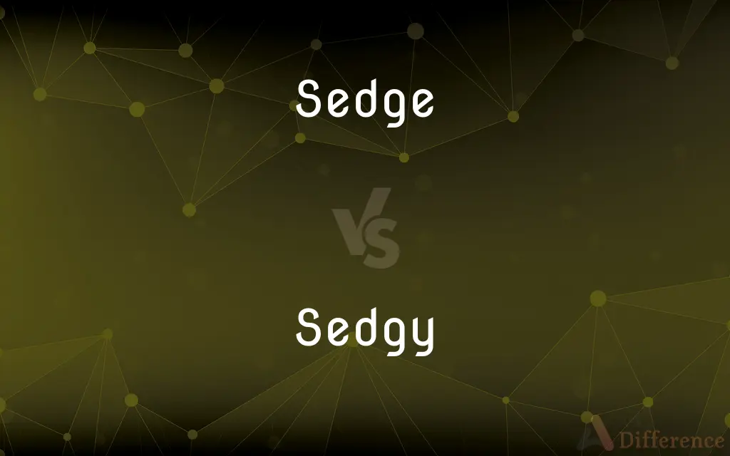 Sedge vs. Sedgy — What's the Difference?