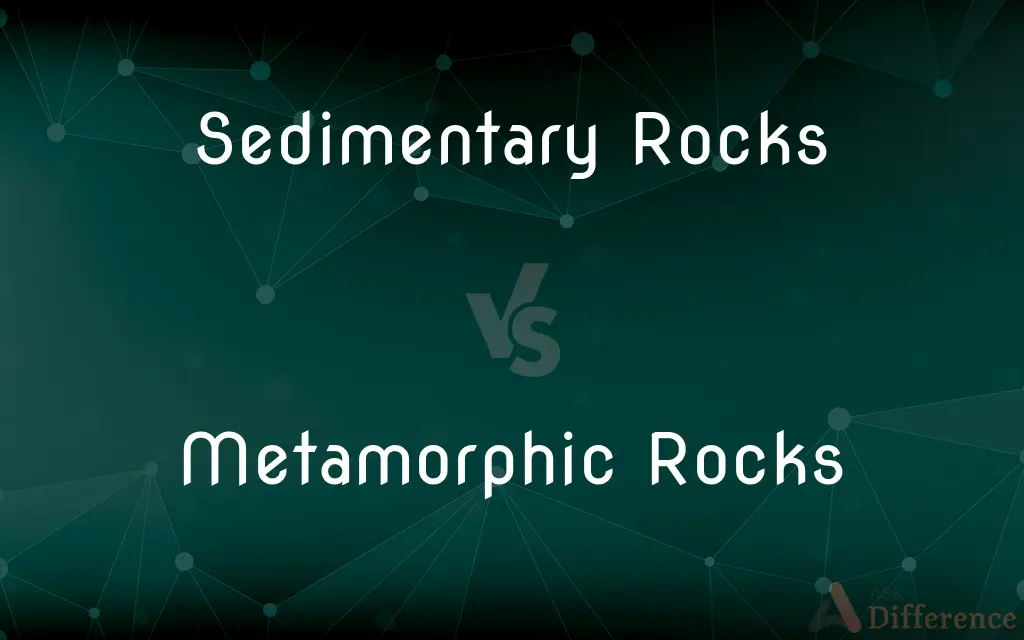 Sedimentary Rocks vs. Metamorphic Rocks — What's the Difference?