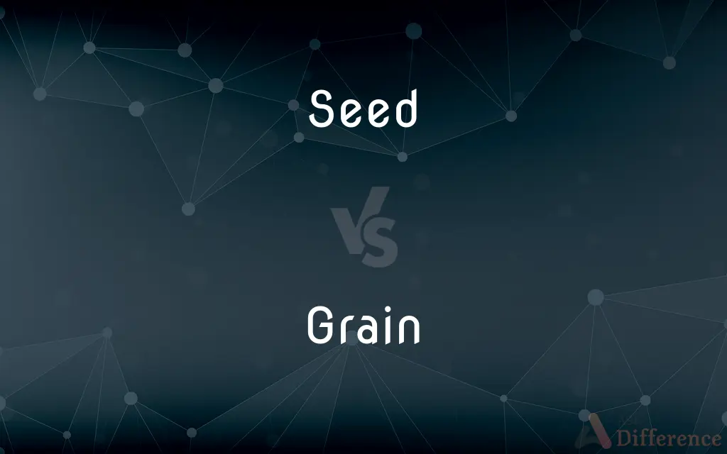 Seed vs. Grain — What's the Difference?