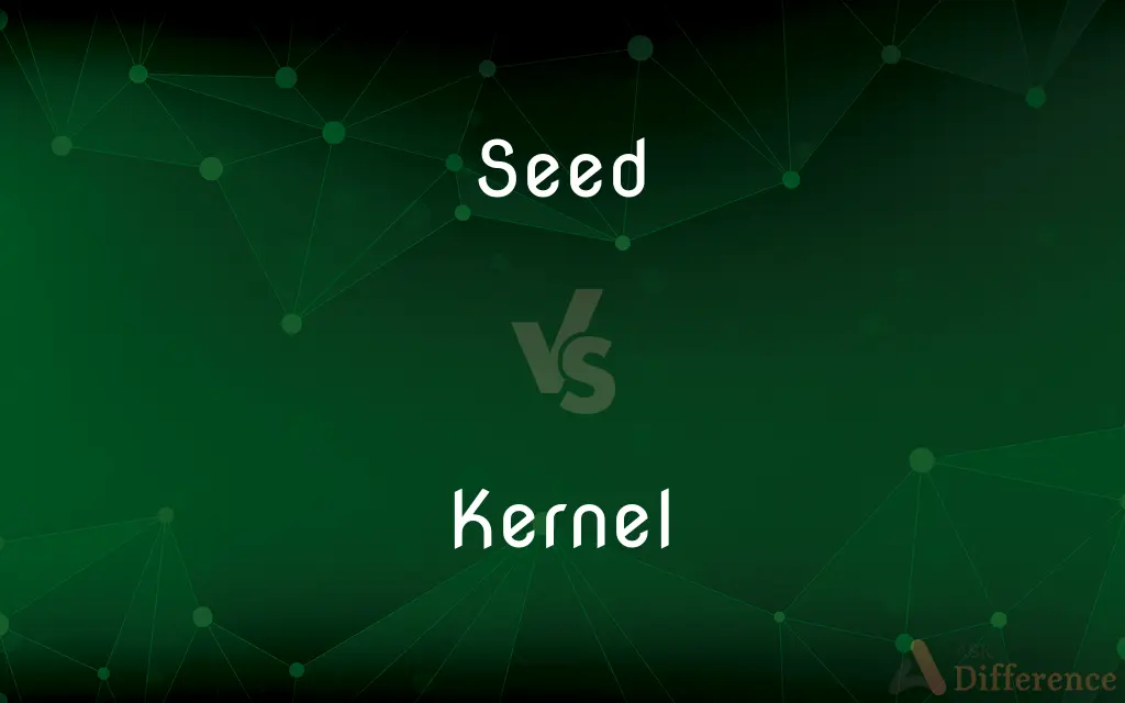 Seed vs. Kernel — What's the Difference?