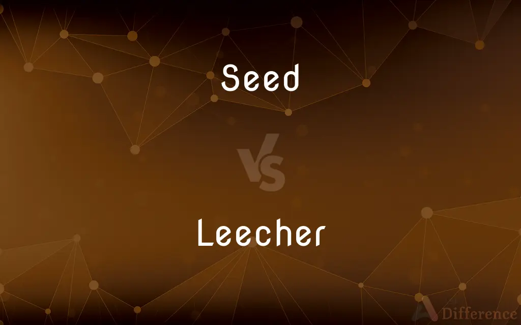 Seed vs. Leecher — What's the Difference?