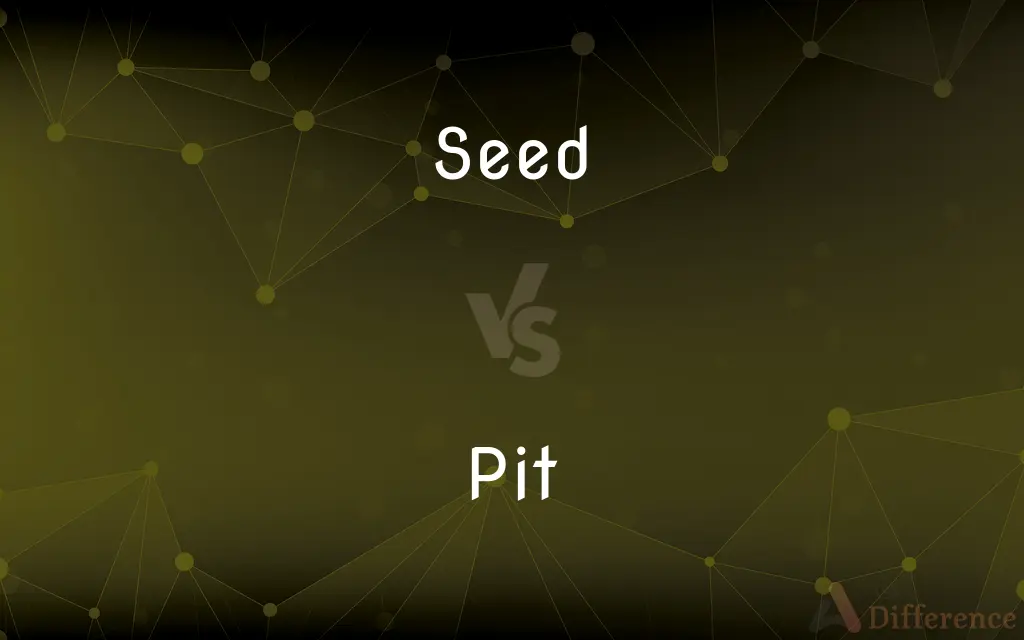 Seed vs. Pit — What's the Difference?