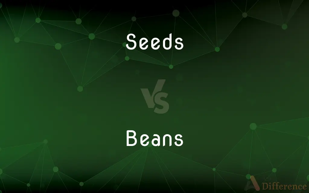 Seeds vs. Beans — What's the Difference?