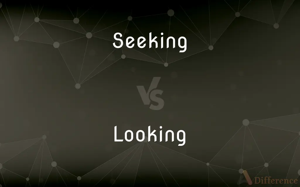 Seeking vs. Looking — What's the Difference?