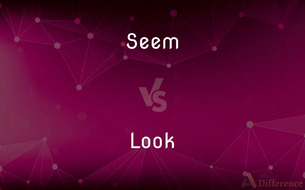 Seem vs. Look — What's the Difference?