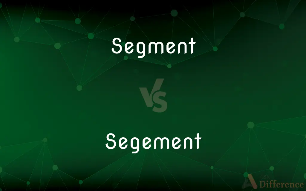 Segment vs. Segement — What's the Difference?