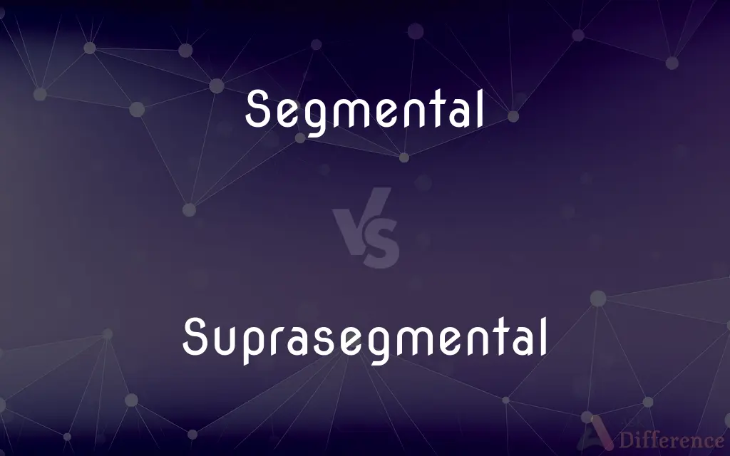 Segmental vs. Suprasegmental — What's the Difference?