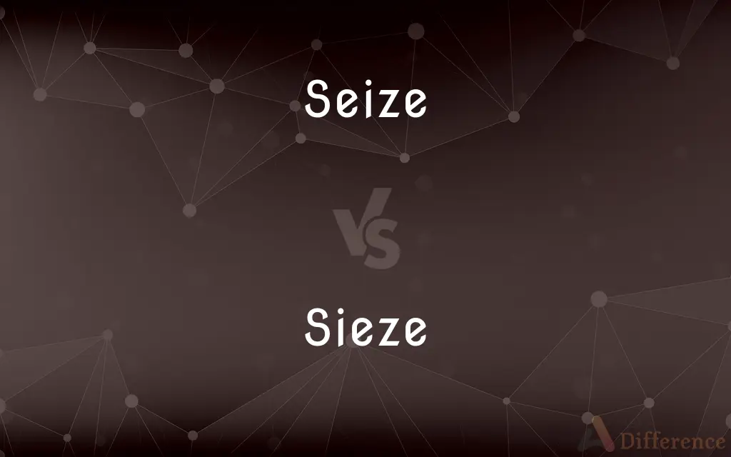 Seize vs. Sieze — Which is Correct Spelling?
