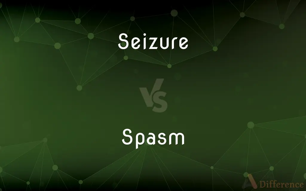 Seizure vs. Spasm — What's the Difference?