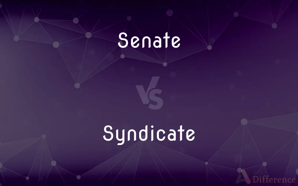 Senate vs. Syndicate — What's the Difference?