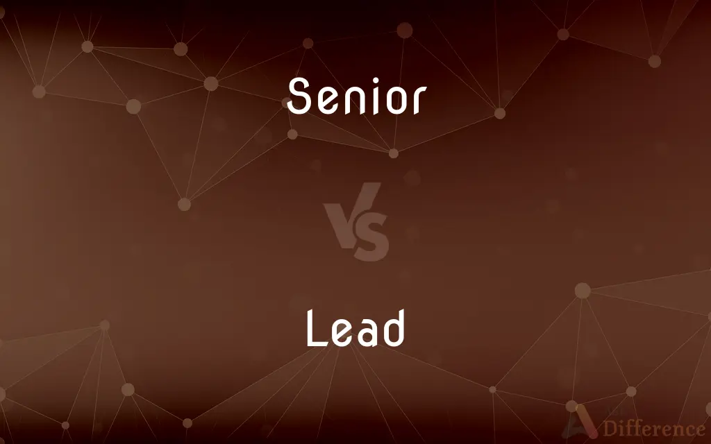 Senior vs. Lead — What's the Difference?