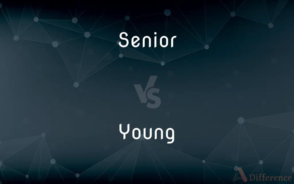 Senior vs. Young — What's the Difference?