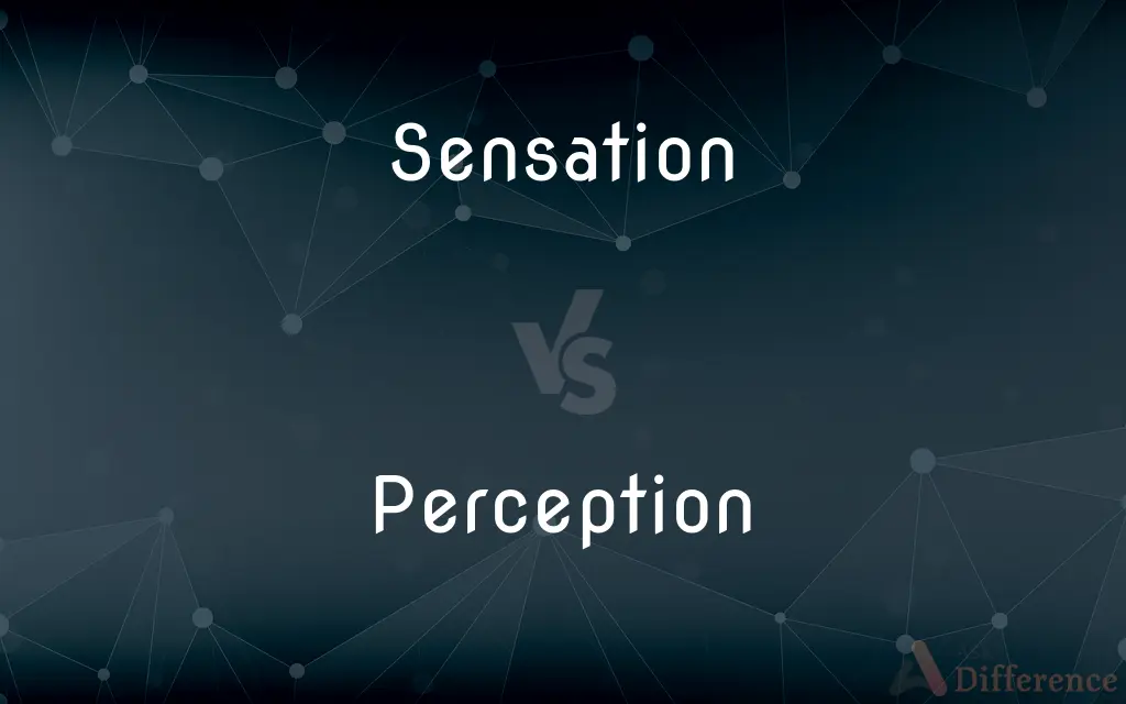 Sensation vs. Perception — What's the Difference?