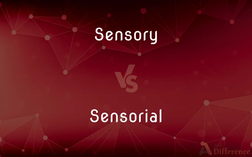 Sensory vs. Sensorial — What's the Difference?
