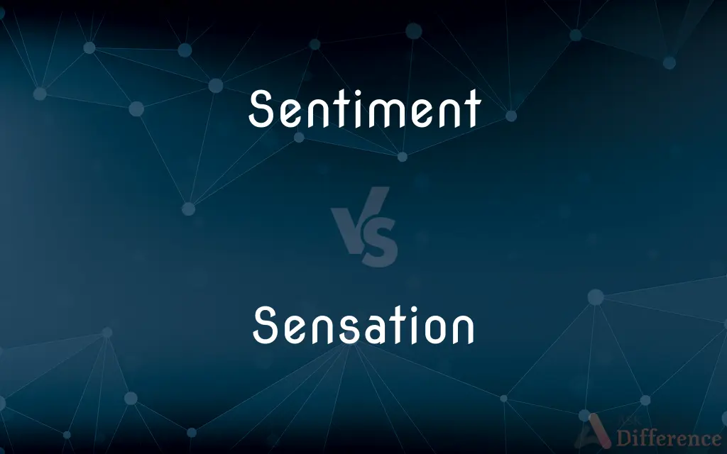 Sentiment vs. Sensation — What's the Difference?