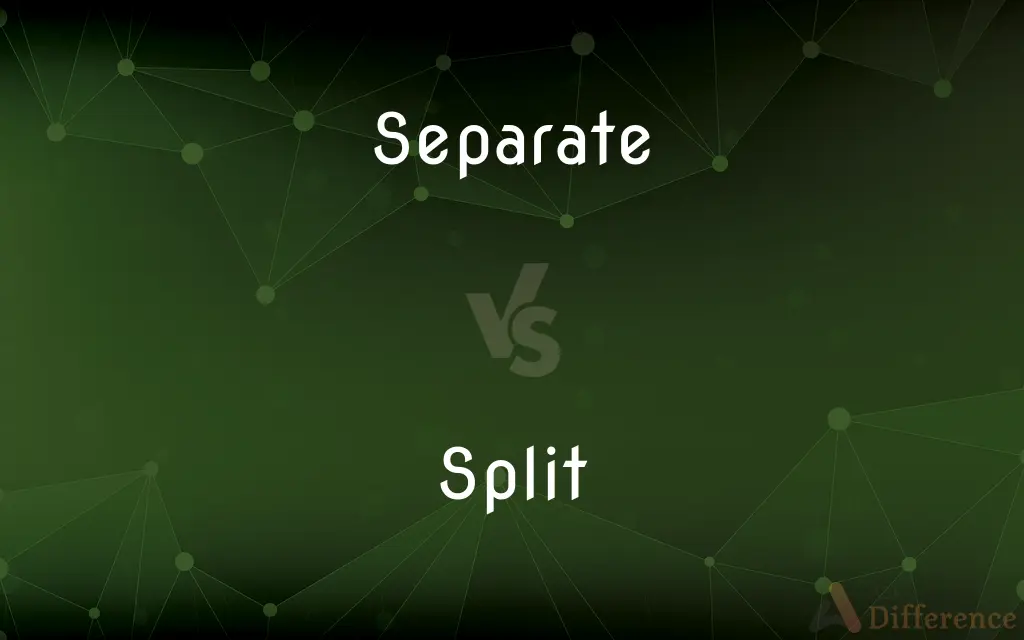 Separate vs. Split — What's the Difference?