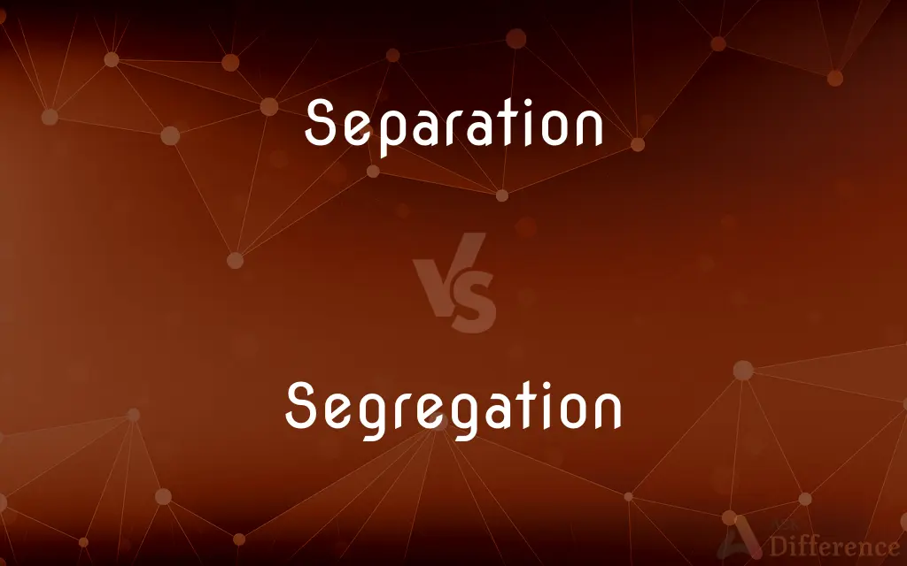 Separation vs. Segregation — What's the Difference?