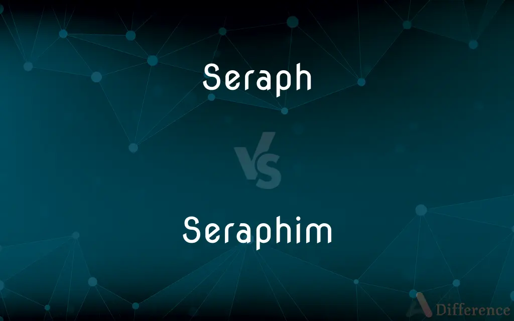 Seraph vs. Seraphim — What's the Difference?