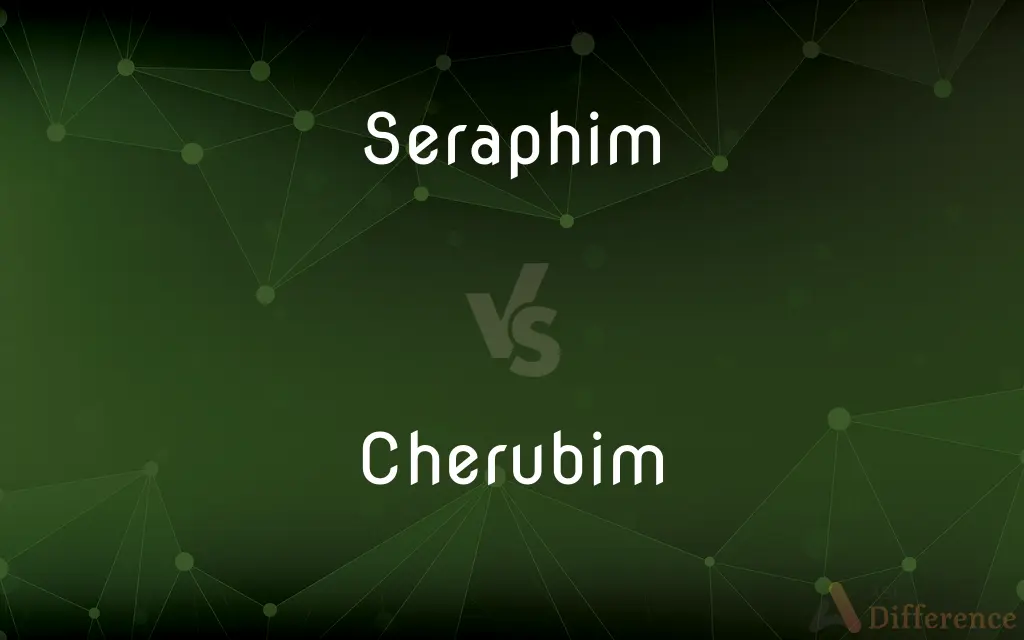 Seraphim vs. Cherubim — What's the Difference?