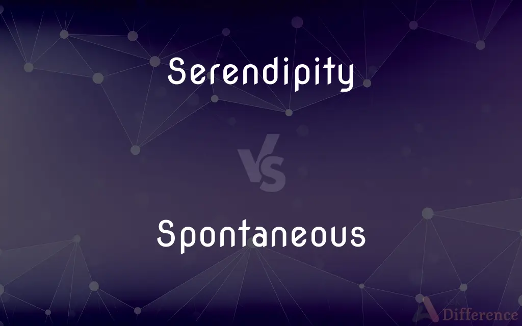 Serendipity vs. Spontaneous — What's the Difference?