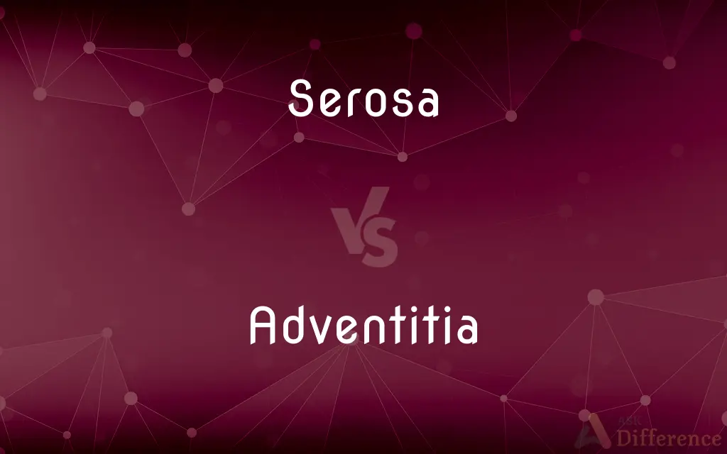 Serosa vs. Adventitia — What's the Difference?