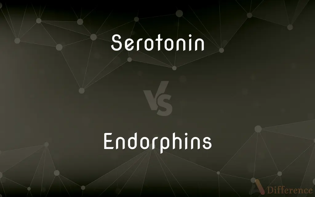 Serotonin vs. Endorphins — What's the Difference?
