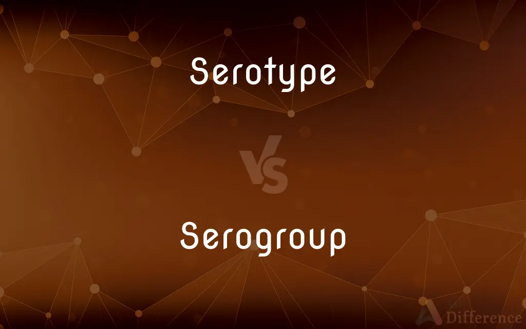Serotype vs. Serogroup — What's the Difference?