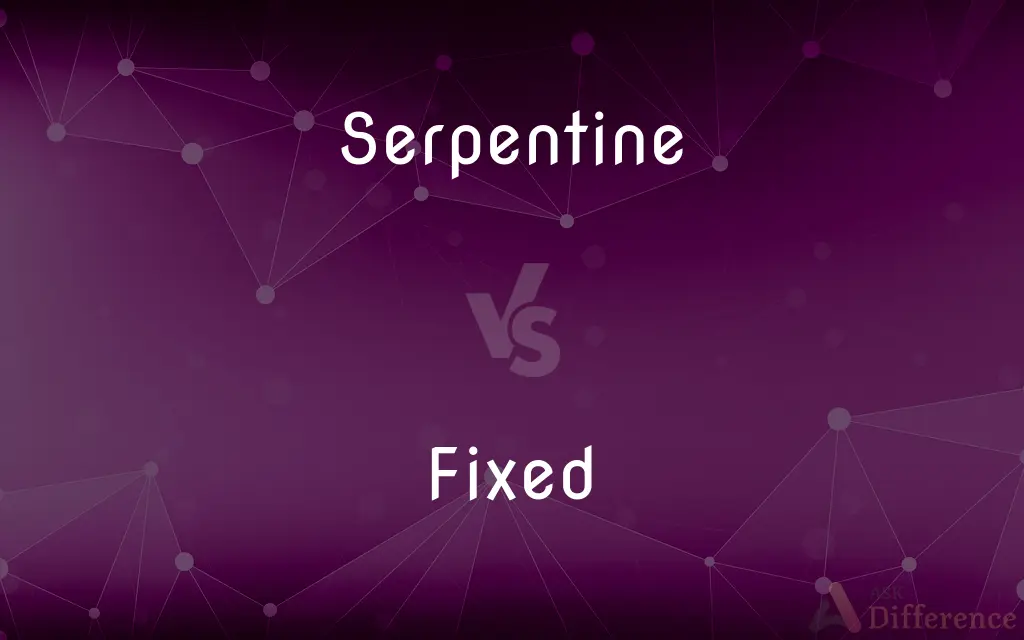 Serpentine vs. Fixed — What's the Difference?