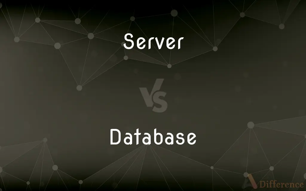 Server vs. Database — What's the Difference?