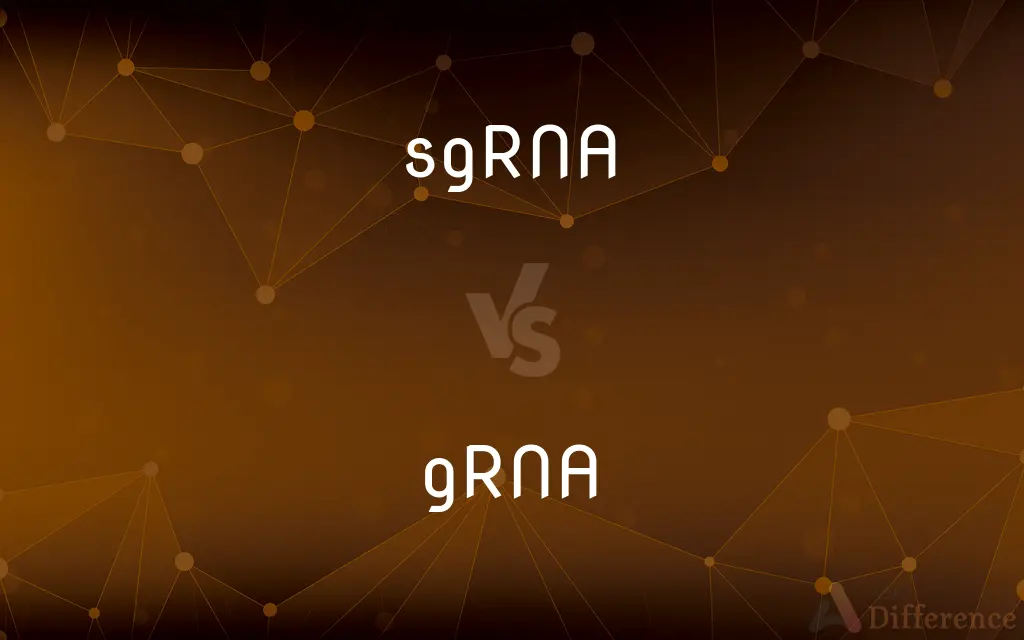sgRNA vs. gRNA — What's the Difference?