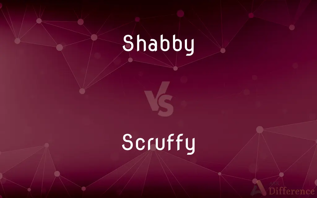 Shabby vs. Scruffy — What's the Difference?