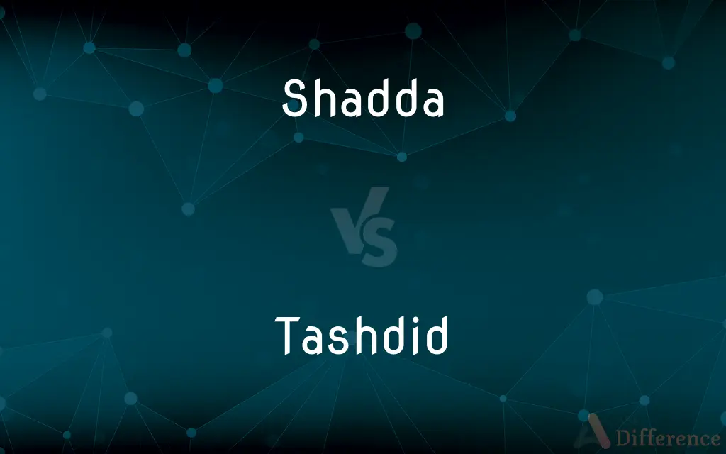 Shadda vs. Tashdid — What's the Difference?