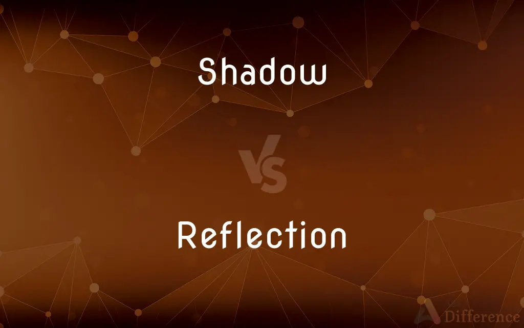 Shadow vs. Reflection — What's the Difference?