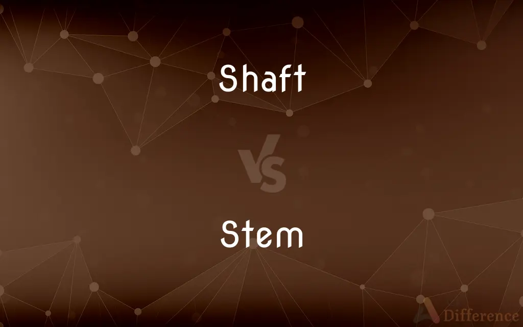 Shaft vs. Stem — What's the Difference?