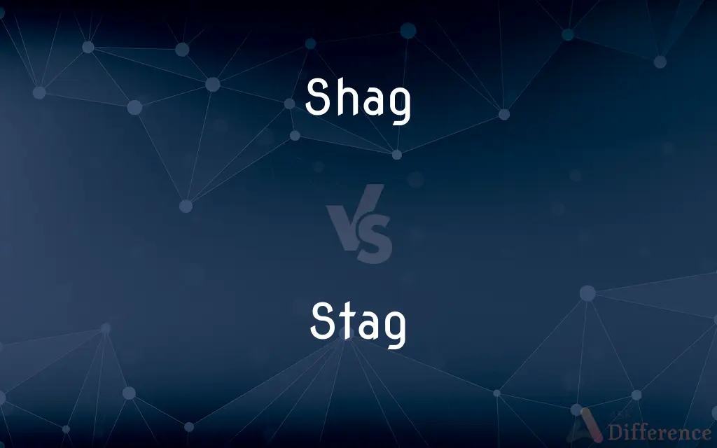 Shag vs. Stag — What's the Difference?