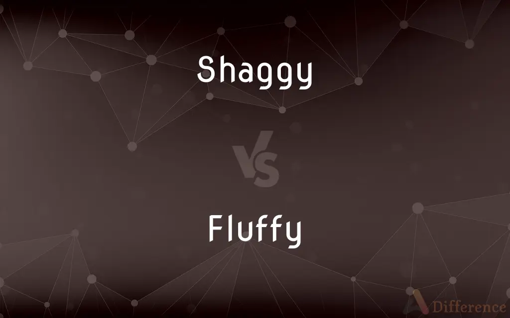 Shaggy vs. Fluffy — What's the Difference?