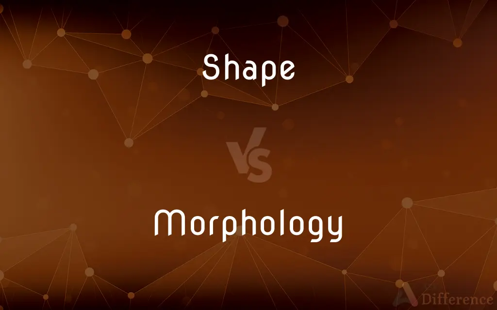 Shape vs. Morphology — What's the Difference?