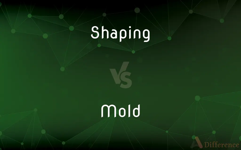 Shaping vs. Mold — What's the Difference?
